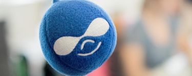 What Drupal developers can