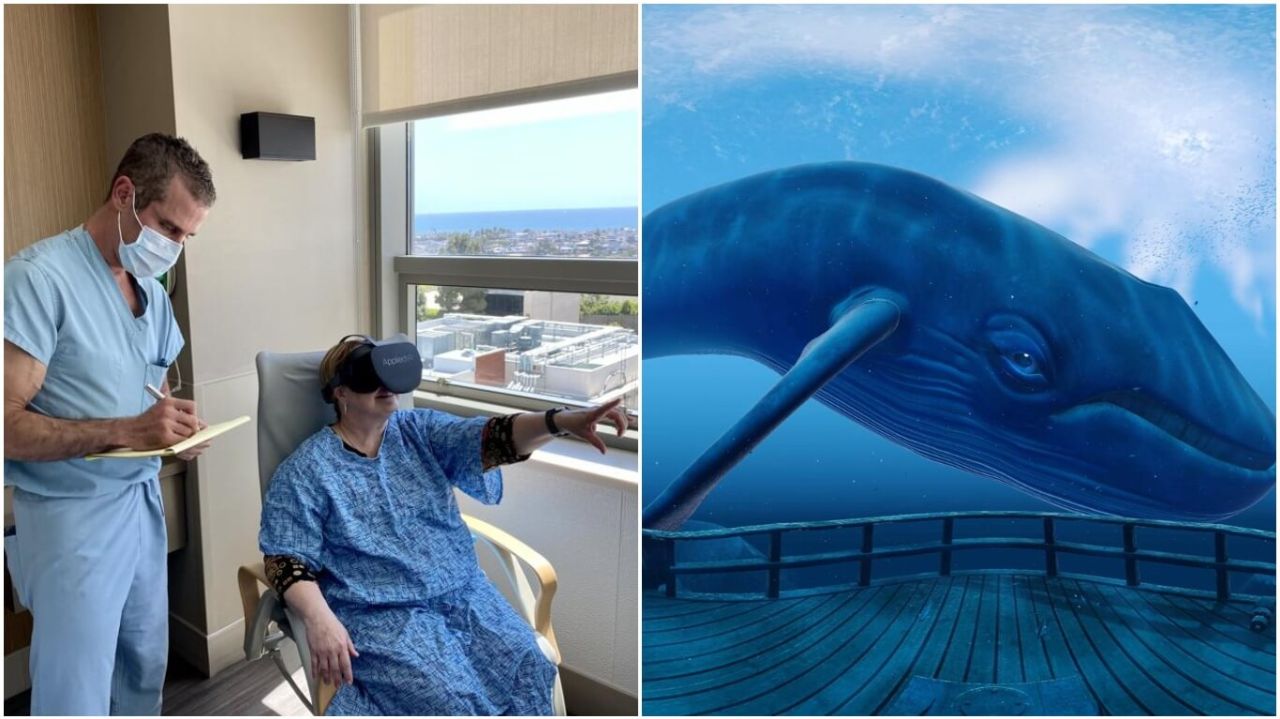 Using virtual reality to manage pain