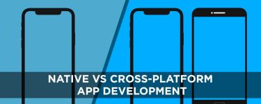 Native or Cross-Platform App Development: Important Factors to Consider When Choosing